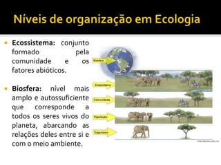  Ecossistema: conjunto
formado pela
comunidade e os
fatores abióticos.
 Biosfera: nível mais
amplo e autossuficiente
que corresponde a
todos os seres vivos do
planeta, abarcando as
relações deles entre si e
com o meio ambiente.
 