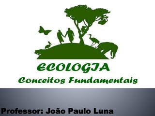 Professor: João Paulo Luna
 