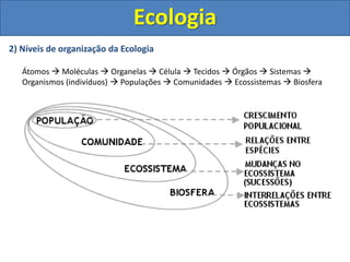 Ecologia
2) Níveis de organização da Ecologia
Átomos → Moléculas → Organelas → Célula → Tecidos → Órgãos → Sistemas →
Organismos (indivíduos) → Populações → Comunidades → Ecossistemas → Biosfera
 