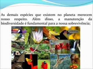 As demais espécies que
nosso respeito. Além
existem
disso,
no planeta merecem
a manutenção da
biodiversidade é fundamental para a nossa sobrevivência;
 