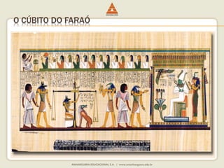 O CÚBITO DO FARAÓ 
 