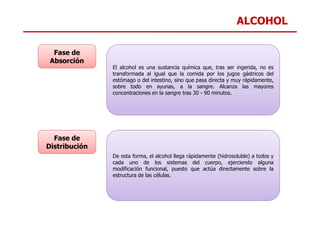 ALCOHOL
El alcohol es una sustancia química que, tras ser ingerida, no es
transformada al igual que la comida por los jugos gástricos del
estómago o del intestino, sino que pasa directa y muy rápidamente,
sobre todo en ayunas, a la sangre. Alcanza las mayores
concentraciones en la sangre tras 30 - 90 minutos.
Fase de
Absorción
De esta forma, el alcohol llega rápidamente (hidrosoluble) a todos y
cada uno de los sistemas del cuerpo, ejerciendo alguna
modificación funcional, puesto que actúa directamente sobre la
estructura de las células.
Fase de
Distribución
 