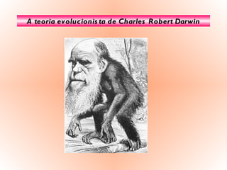 A teoria evolucionista de Charles Robert Darwin 
