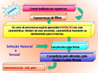 Seleção Natural e Sexual Grande fertilidade dos organismos Superprodução  de filhos Os seres de uma mesma espécie apresentam  VARIAÇÃO  nas suas características. Herdam  de seus ancestrais, características favoráveis ou desfavoráveis para si mesmos. Luta pela vida e pelas fêmeas Competição pelo alimento, pelo espaço e pelas fêmeas Sobrevivência dos  mais aptos DARWIN 