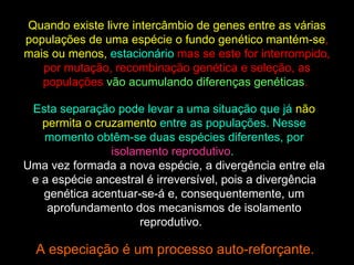 Quando existe livre intercâmbio de genes entre as várias populações de uma espécie o fundo genético mantém-se ,  mais ou menos,   estacionário  mas se este for interrompido, por mutação, recombinação genética e seleção, as populações  vão acumulando diferenças genéticas .  Esta separação pode levar a uma situação que já  não permita o cruzamento  entre as populações. Nesse momento obtêm-se duas espécies diferentes, por  isolamento reprodutivo .  Uma vez formada a nova espécie, a divergência entre ela e a espécie ancestral é irreversível, pois a divergência genética acentuar-se-á e, consequentemente, um aprofundamento dos mecanismos de isolamento reprodutivo. .  A especiação é um processo auto-reforçante.  