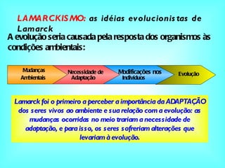 LAMARCKISMO:  as idéias evolucionistas de Lamarck A evolução seria causada pela resposta dos organismos às condições ambientais: Mudanças Necessidade   de Adaptação Modificações   nos Indivíduos Evolução Lamarck foi o primeiro a perceber a importância da ADAPTAÇÃO dos seres vivos ao ambiente e sua relação com a evolução: as mudanças ocorridas no meio trariam a necessidade de adaptação, e para isso, os seres sofreriam alterações que levariam à evolução. Ambientais 