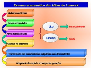 Resumo esquemático das idéias de Lamarck : Mudanças ambientais Novas necessidades Novos hábitos de vida Mudanças no organismo Transmissão das características adquiridas aos descendentes Adaptação da espécie ao longo das gerações Uso Desuso Desenvolvimento Atrofia 