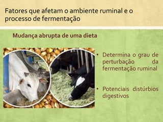 Fatores que afetam o ambiente ruminal e o
processo de fermentação
Mudança abrupta de uma dieta
• Determina o grau de
perturbação da
fermentação ruminal
• Potenciais distúrbios
digestivos
 