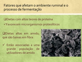 Dietas com altos teores de proteína
Favorecem microrganismos proteolíticos
Dietas altas em amido,
que são baixas em fibra
 Estão associadas a uma
grande população de
utilizadores de amido
.
Fatores que afetam o ambiente ruminal e o
processo de fermentação
 