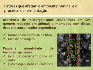 ocorrência de microrganismos celulolíticos em um
número reduzido em animais alimentados com dietas
ricas em concentrados dependerá:
 Tamanho de partícula da fibra
 Taxa de passagem
Pequena quantidade de
forragem grosseira:
 Taxa de passagem pode ser
lenta
 ↑ Microrganismos celulolíticos
Fatores que afetam o ambiente ruminal e o
processo de fermentação
 
