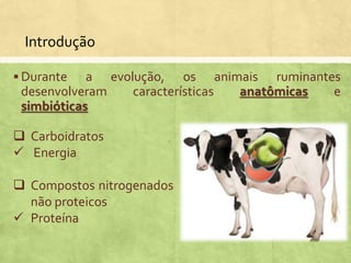 Introdução
 Durante a evolução, os animais ruminantes
desenvolveram características anatômicas e
simbióticas
 Carboidratos
 Energia
 Compostos nitrogenados
não proteicos
 Proteína
 