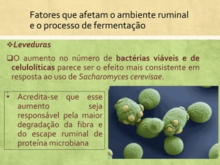 Fatores que afetam o ambiente ruminal
e o processo de fermentação
Leveduras
O aumento no número de bactérias viáveis e de
celulolíticas parece ser o efeito mais consistente em
resposta ao uso de Sacharomyces cerevisae.
.
• Acredita-se que esse
aumento seja
responsável pela maior
degradação da fibra e
do escape ruminal de
proteína microbiana
 
