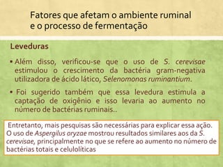 Fatores que afetam o ambiente ruminal
e o processo de fermentação
 Além disso, verificou-se que o uso de S. cerevisae
estimulou o crescimento da bactéria gram-negativa
utilizadora de ácido lático, Selenomonas ruminantium.
 Foi sugerido também que essa levedura estimula a
captação de oxigênio e isso levaria ao aumento no
número de bactérias ruminais..
Entretanto, mais pesquisas são necessárias para explicar essa ação.
O uso de Aspergilus oryzae mostrou resultados similares aos da S.
cerevisae, principalmente no que se refere ao aumento no número de
bactérias totais e celulolíticas
Leveduras
 