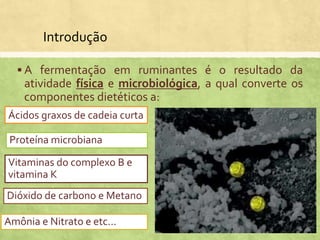 Introdução
 A fermentação em ruminantes é o resultado da
atividade física e microbiológica, a qual converte os
componentes dietéticos a:
Ácidos graxos de cadeia curta
Proteína microbiana
Vitaminas do complexo B e
vitamina K
Dióxido de carbono e Metano
Amônia e Nitrato e etc...
 