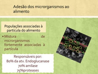 Adesão dos microrganismos ao
alimento
Populações associadas à
partícula do alimento
 Mistura de
microrganismos
fortemente associadas à
partícula
Correspondem 70 – 80%
da massa microbiana
Responsáveis por:
80% da atv. Endoglucanase
70% amilase
75%proteases
 