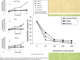 Guimarães-Beelen et al.
(2006) avaliaram o
crescimento da população
de bactérias celulolíticas
Ruminococcus flavefaciens
submetidas a doses de
taninos purificado no
fluido, concluindo que há
redução na população.
 