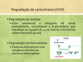  Degradação da celulose
 Ação sequencial e integrada de várias
endocelulases, exocelulases e β-glicosidases que
hidrolisam as ligações β-1,4 no interior e no final da
cadeia liberando glicose
Degradação de carboidratos (CHO)
 Degradação da hemicelulose
 Sistemas enzimáticos mais
complexos devido sua
estrutura hererogênea
 
