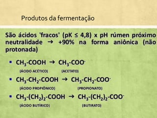Produtos da fermentação
 