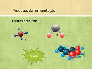 Produtos da fermentação
CO2
Álcool
Outros produtos...
 