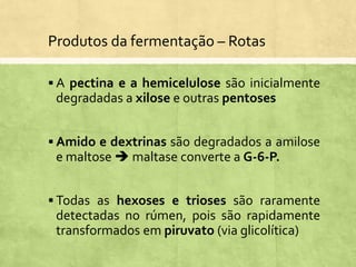  A pectina e a hemicelulose são inicialmente
degradadas a xilose e outras pentoses
 Amido e dextrinas são degradados a amilose
e maltose  maltase converte a G-6-P.
 Todas as hexoses e trioses são raramente
detectadas no rúmen, pois são rapidamente
transformados em piruvato (via glicolítica)
Produtos da fermentação – Rotas
 
