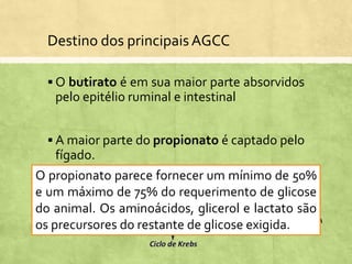  O butirato é em sua maior parte absorvidos
pelo epitélio ruminal e intestinal
 A maior parte do propionato é captado pelo
fígado.
 Principal precursor da glicose em
ruminantes
Destino dos principaisAGCC
O propionato parece fornecer um mínimo de 50%
e um máximo de 75% do requerimento de glicose
do animal. Os aminoácidos, glicerol e lactato são
os precursores do restante de glicose exigida.
 