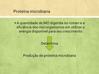 Proteína microbiana
 A quantidade de MO digerida no rúmen e a
eficiência dos microrganismos em utilizar a
energia disponível para seu crescimento
Determina
Produção de proteína microbiana
 