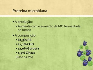 Proteína microbiana
 A produção:
 Aumenta com o aumento de MO fermentada
no rúmen
 A composição
 62,5% PB
 21,1% CHO
 12,0% Gordura
 4,4% Cinzas
(Base na MS)
 