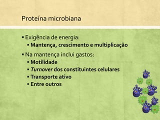 Proteína microbiana
 Exigência de energia:
 Mantença, crescimento e multiplicação
 Na mantença inclui gastos:
 Motilidade
 Turnover dos constituintes celulares
 Transporte ativo
 Entre outros
 