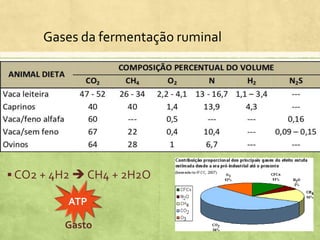  CO2 + 4H2  CH4 + 2H2O
Gases da fermentação ruminal
ATP
Gasto
 