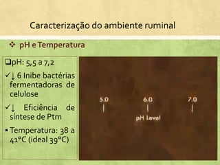 Caracterização do ambiente ruminal
pH: 5,5 a 7,2
↓ 6 Inibe bactérias
fermentadoras de
celulose
↓ Eficiência de
síntese de Ptm
 Temperatura: 38 a
41°C (ideal 39°C)
 pH eTemperatura
 