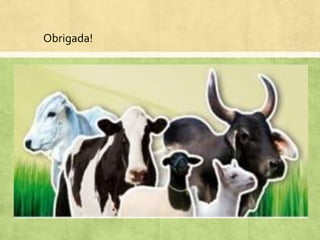 Obrigada!
 