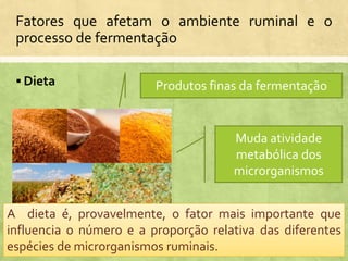 Fatores que afetam o ambiente ruminal e o
processo de fermentação
 Dieta Produtos finas da fermentação
Muda atividade
metabólica dos
microrganismos
A dieta é, provavelmente, o fator mais importante que
influencia o número e a proporção relativa das diferentes
espécies de microrganismos ruminais.
 