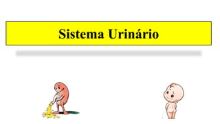 Sistema Urinário
 