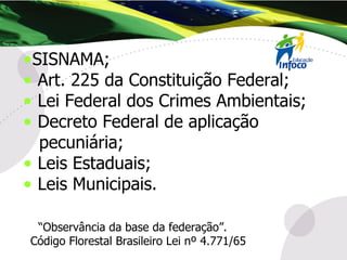 SISNAMA; Art. 225 da Constituição Federal; Lei Federal dos Crimes Ambientais; Decreto Federal de aplicação  pecuniária; Leis Estaduais; Leis Municipais. “ Observância da base da federação”. Código Florestal Brasileiro Lei nº 4.771/65 