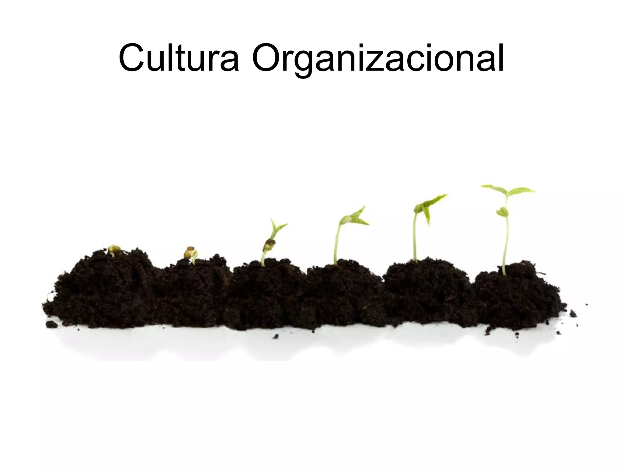 Cultura Organizacional 