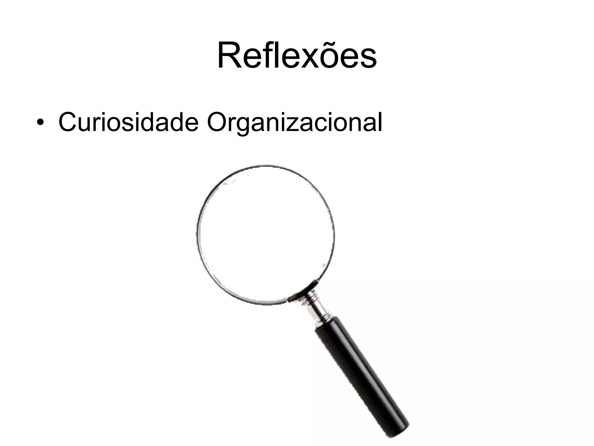 Reflexões Curiosidade Organizacional 