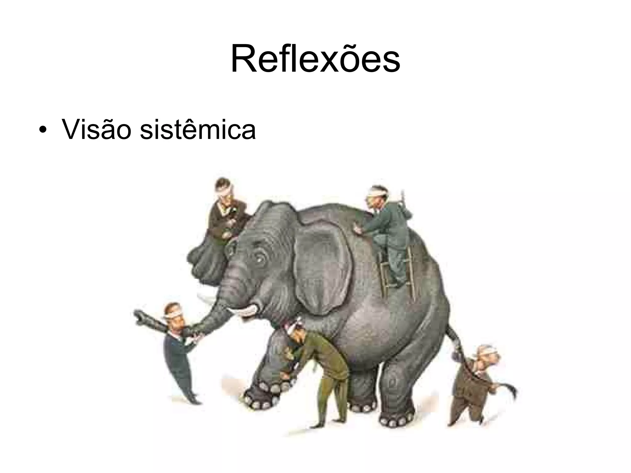 Reflexões Visão sistêmica 
