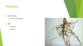 Histórico
 Louis Pasteur
 Pai da microbiologia
 FBN
 Empírica
 nódulos
 