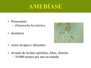 Amebíase
• Protozoário
– Entamoeba hystolytica
• desinteria
• cistos na água e alimentos
• invasão de tecidos epiteliais, febre, diarréia
– 10.000 mortes por ano no mundo
AMEBÍASE
 