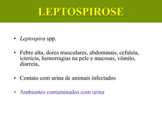 • Leptospira spp.
• Febre alta, dores musculares, abdominais, cefaleia,
ictericia, hemorragias na pele e mucosas, vômito,
diarreia,
• Contato com urina de animais infectados
• Ambientes contaminados com urina
LEPTOSPIROSE
 