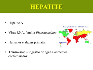 • Hepatite A
• Vírus RNA, família Picornaviridae
• Humanos e alguns primatas
• Transmissão – ingestão de água e alimentos
contaminados
HEPATITE
 