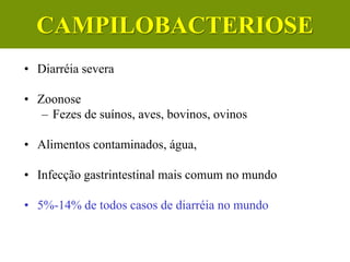 • Diarréia severa
• Zoonose
– Fezes de suínos, aves, bovinos, ovinos
• Alimentos contaminados, água,
• Infecção gastrintestinal mais comum no mundo
• 5%-14% de todos casos de diarréia no mundo
CAMPILOBACTERIOSE
 