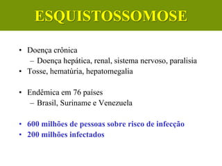 • Doença crônica
– Doença hepática, renal, sistema nervoso, paralisia
• Tosse, hematúria, hepatomegalia
• Endêmica em 76 países
– Brasil, Suriname e Venezuela
• 600 milhões de pessoas sobre risco de infecção
• 200 milhões infectados
ESQUISTOSSOMOSE
 