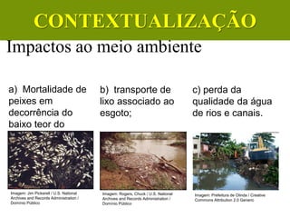 Impactos ao meio ambiente
a) Mortalidade de
peixes em
decorrência do
baixo teor do
oxigênio da água;
b) transporte de
lixo associado ao
esgoto;
c) perda da
qualidade da água
de rios e canais.
CIÊNCIAS, 6º Ano do Ensino
Fundamental
Tratamento dos esgotos
Imagem: Jim Pickerell / U.S. National
Archives and Records Administration /
Domínio Público
Imagem: Prefeitura de Olinda / Creative
Commons Attribution 2.0 Generic
Imagem: Rogers, Chuck / U.S. National
Archives and Records Administration /
Domínio Público
CONTEXTUALIZAÇÃO
 