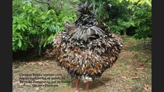 ● Cacique Babau vestido com
manto tupinambá na aldeia da
Serra do Padeiro, no sul da Bahia
— Foto: Glicéria Tupinam
 