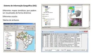 Sistema de Informação Geográfica (SIG)
Diferentes mapas temáticos que podem
ser visualizados de forma dinâmica
Diferentes escalas
Tabelas de atributos
 