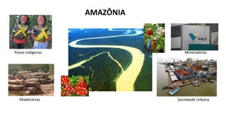 AMAZÔNIA
Povos indígenas Mineradoras
Madeireiras Sociedade Urbana
 