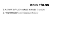 DOIS PÓLOS
1. RECURSOS NATURAIS: bens físicos destinados ao consumo
2. FUNÇÃO ECOLÓGICA: serviços de suporte a vida
 