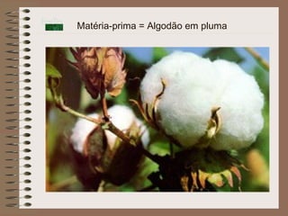 Matéria-prima = Algodão em pluma
 
