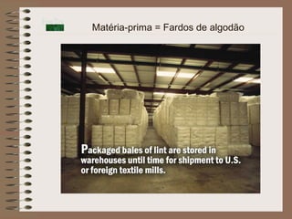 Matéria-prima = Fardos de algodão
 